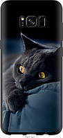 Чехол tpu черный Endorphone Samsung Galaxy S8 Дымчатый кот (825b-829-26985) BS, код: 7949875