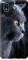 Чехол силиконовый Endorphone Samsung Galaxy A01 Core A013F Красивый кот (3038u-2065-26985) BS, код: 7950238