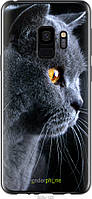 Силиконовый чехол Endorphone Samsung Galaxy S9 Красивый кот (3038u-1355-26985) BS, код: 7500692
