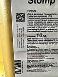 Гербіцид Стомп Аква Basf -10 л, фото 2