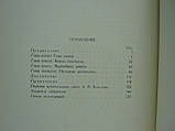 Оль Г.А. Архітектор Брюлов (б/у)., фото 6