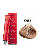 Крем-краска для волос Schwarzkopf Igora Royal 8-65 Светло-Русый Шоколадно-Золотистый 60 мл (4 BS, код: 8249442