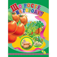 Книжка детская Що росте на городі? Кредо (95770) HR, код: 2326834