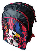 Рюкзака школьный для девочки Paso Синий (BR-973-1) MN, код: 8298386