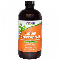 Комплекс для пищеварения NOW Foods Liquid Chlorophyll 473 ml Natural Mint Flavor MN, код: 7591034