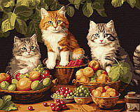 Картина по номерам 40×50 см. Котики и фрукты Идейка КНО6586