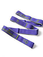 Резина для растяжки Gummi Elastiband Pastorelli Junior 7 кг Фиолетовый (03187)
