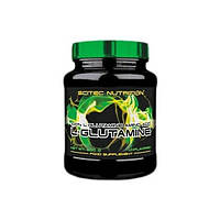 Глютамин для спорта Scitec Nutrition L-Glutamine 600 g 100 servings TS, код: 7605792