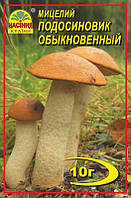 Мицелий грибов Насіння країни Подосиновик 10 г HR, код: 7718797