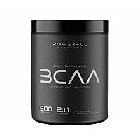 Аминокислота BCAA для спорта Powerful Progress BCAA 2:1:1 + Glutamine 500 g 50 servings App ZZ, код: 7520766