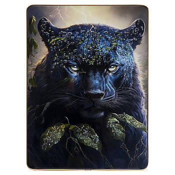 Інтер'єрна картина для декору стін у будинку з камінням з малюнком Чорної пантери вночі 30х40 см F093