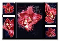 Модульная картина Декор Карпаты OR-008 100х71см Орхидеи (hub_tnEv83295) ZZ, код: 1224701