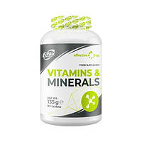 Витаминно-минеральный комплекс для спорта 6PAK Nutrition Vitamins And Minerals 90 Tabs GL, код: 7520542