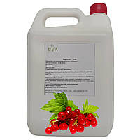 Концентрированный сок Eva Красной смородины 5 л 6,5 кг MN, код: 7701889