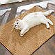 Килимок - дряпка для котів CAT IN BOX сизалевий 40х30 см, фото 8