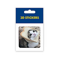 3D-стикер Мем смешной кот SX-26 Tattooshka TS, код: 7933300
