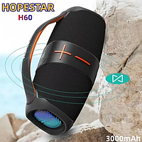 Колонка Hopestar H60 (20)