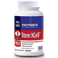 Ферменты для мозга Stem XCell Enzymedica 60 капсул ZZ, код: 7668089