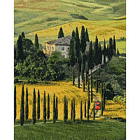 Картина по номерам Идейка Путешествие в Тоскану 40х50 см KHO2297 ZZ, код: 7886263