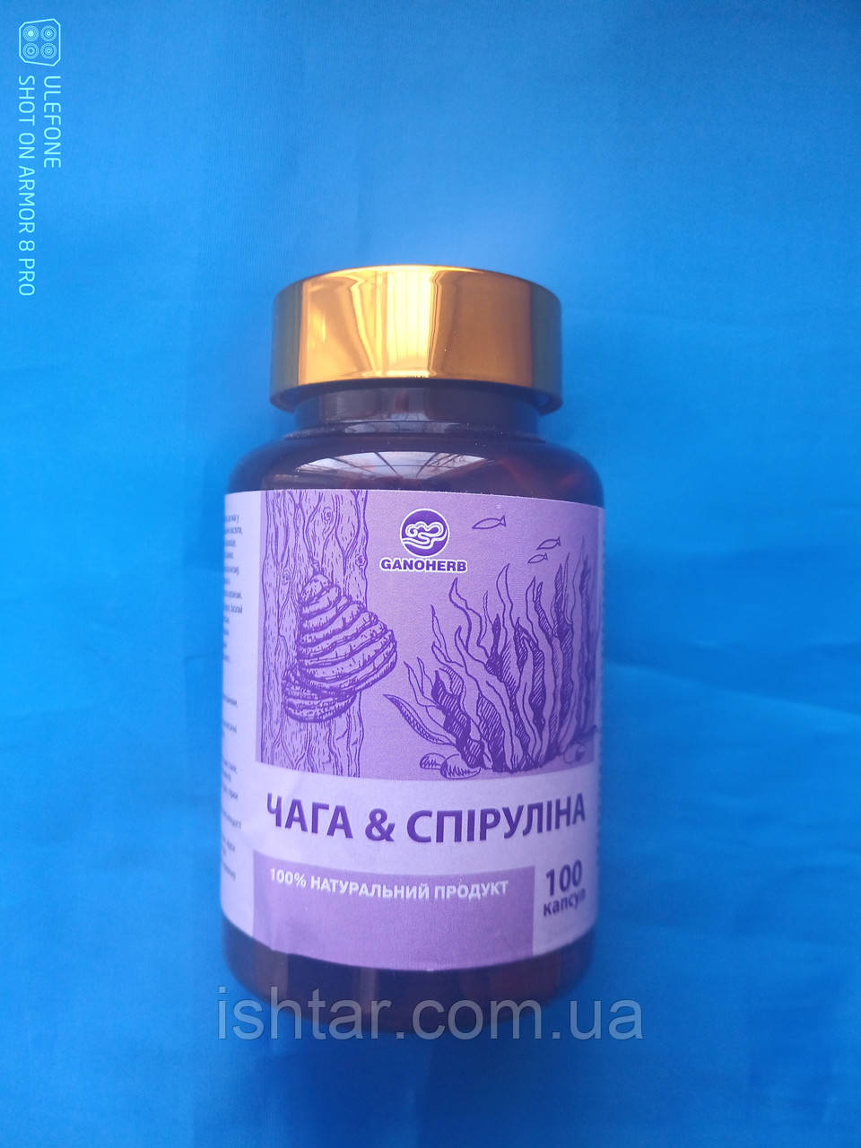 Спіруліна і Чага гриб від найбільшого світового виробника GANOHERB  100 шт. капсул