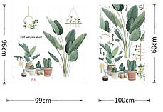 Інтер'єрні наклейки Кімнатні квіти Fresh and Green plants (лист 60 х 100 см) Б169-1, фото 3