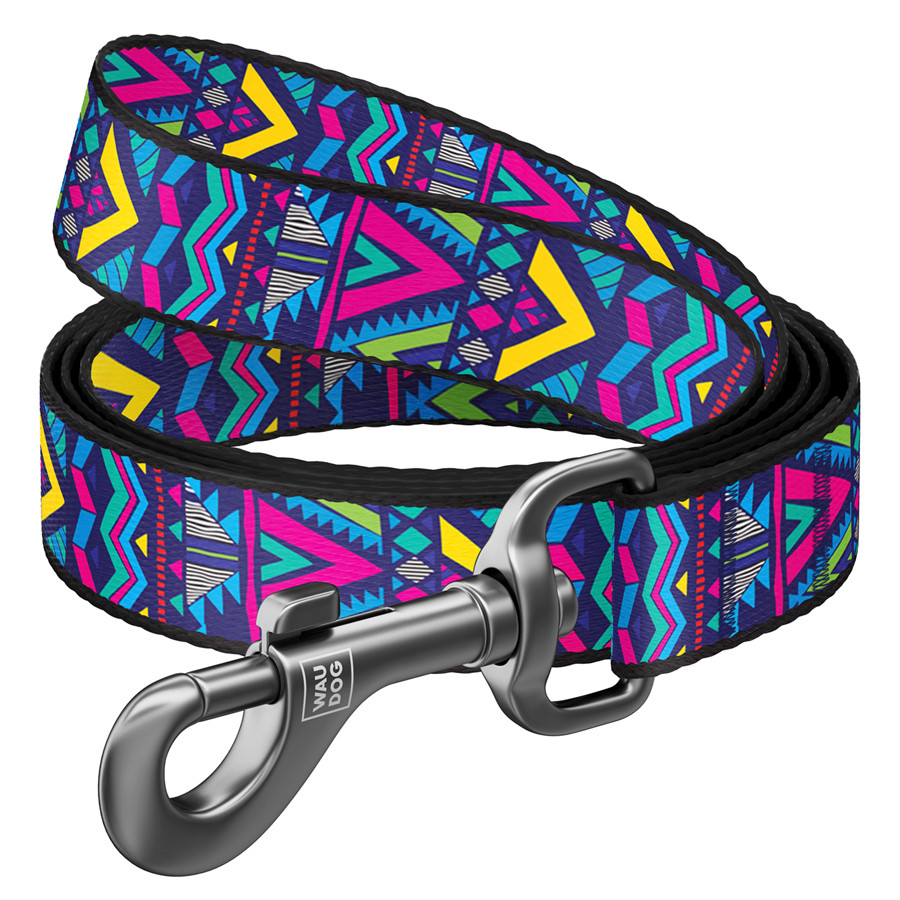 Повідець для собак нейлоновий WAUDOG Nylon, малюнок "Інді", Ш 15 мм, Д 122 см, фото 1