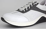 Білі легкі літні шкіряні чоловічі кросівки взуття великих розмірів Rosso Avangard DolGa White Perf BS, фото 7
