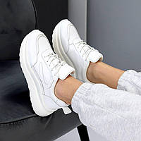 Жіночі шкіряні кросівки на широкій підошві модні білі натуральна шкіра