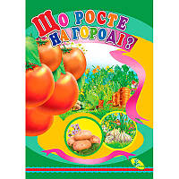 Гр Книжка "Що росте на огороді?" ЦК (укр) 9786176632764 (20) "Кредо"