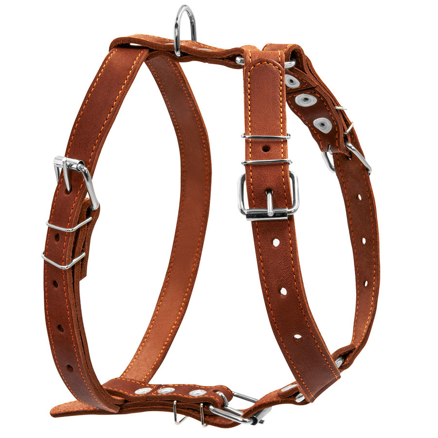 Шлея "CoLLaR" одинарна (ширина 25 мм, А:49-68 см, В:68-80см) коричневий, фото 1
