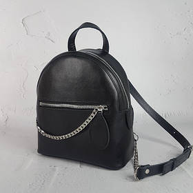 Модель Шайн