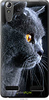 Силиконовый чехол Endorphone Lenovo K3 (K30-t) Красивый кот (3038u-114-26985) TS, код: 7500921