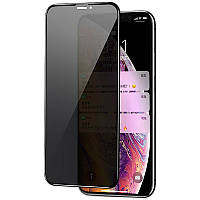 Защитное стекло Privacy 5D Matte (full glue) (тех.пак) Apple iPhone 11 / XR Черный