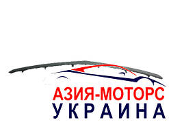 Молдинг капота Geely Emgrand EC-7 / EC-7RV (Джилі Емгранд) 1068002014