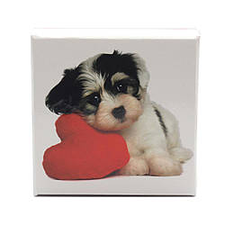 Коробка подарункова ООТВ Собака із серцем 10 х 10 см