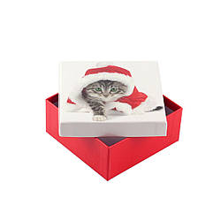 Коробка подарункова ООТВ Santa Cat 10 х 10 х 8 см