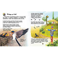 Енциклопедія дошкільника Птахи 614032 для найменших, фото 4