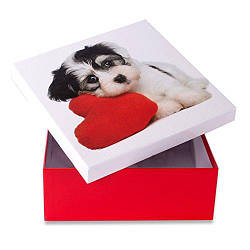 Коробка подарункова ООТВ Собака із серцем 12х12 см