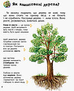 Дитяча енциклопедія про ліс 614016 для дошкільнят, фото 5