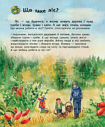 Дитяча енциклопедія про ліс 614016 для дошкільнят, фото 7