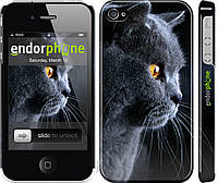 Пластиковый чехол Endorphone на iPhone 4 Красивый кот (3038t-15-26985) KS, код: 1838654