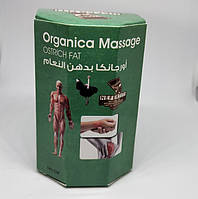 Крем мазь со страусиным жиром Organica Massage ostrich fat колоквинт NEFERTITI IB, код: 2478847