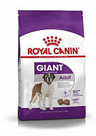 Сухой корм Royal Canin Giant Adult для взрослых собак гигантских пород старше 2 лет 15 кг (31 IB, код: 7581535