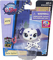 Dasher Spotson Littlest Pet Shop LPS No172 собака далматинець Дашер Спотсон Dasher Spotson