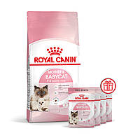 Корм для кошенят віком від 1 до 4 місяців і кішок під час вагітності ROYAL CANIN MOTHER & BABYCAT 2 кг
