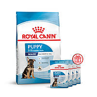 Корм для цуценят великих порід собак ROYAL CANIN MAXI PUPPY 4.0 кг