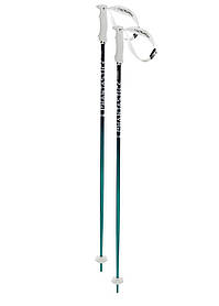 Палиці гірськолижні Volkl Phantastick Women's Ski Poles 115 Green-Purple 169819-115 IB, код: 7681295