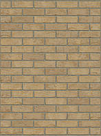 Плитка ручной формовки Rijswald Handmade Beige (DR57B) HV EF 215x22x65