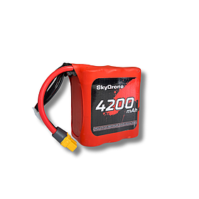 Акумулятор для FPV дронів SkyDrone 6S1P 4200 mAh 45A (Molicel P42A)