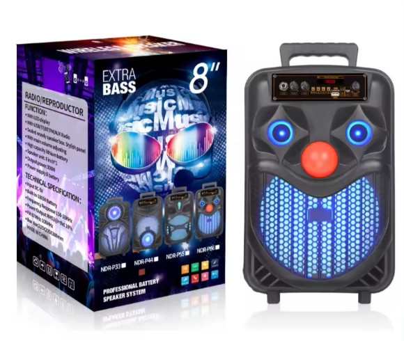 Акустична Bluetooth колонка NDR-P66 із мікрофоном, фото 1